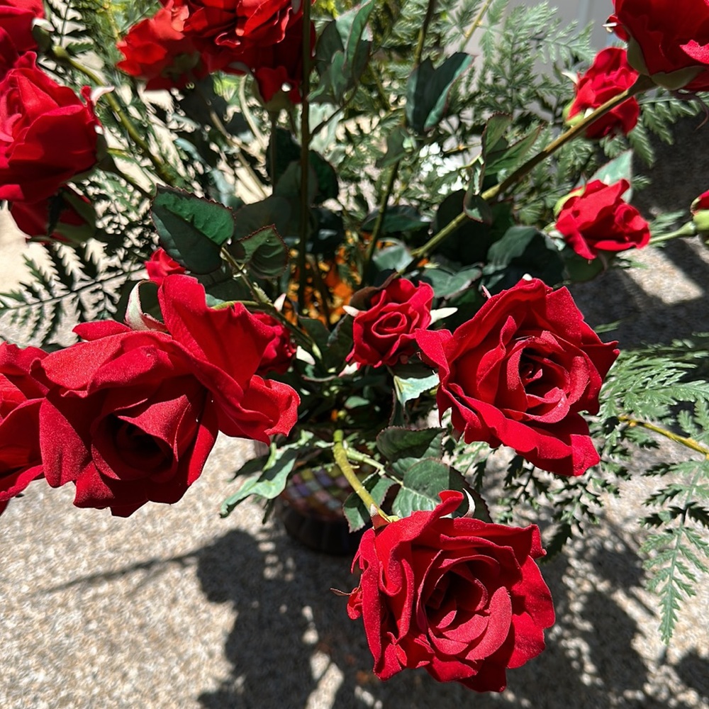 Roses - Picture 3 of 4